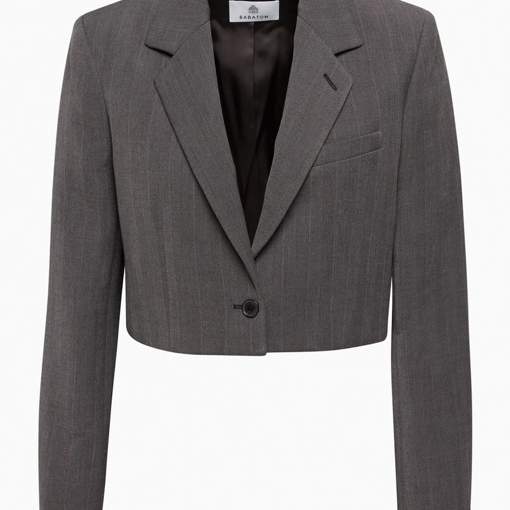 Aritzia Babaton Arbus Cropped Blazer